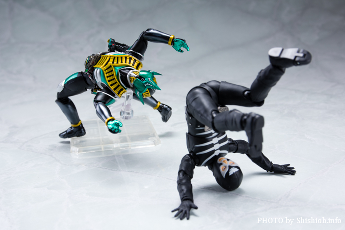 S.H.フィギュアーツ　真骨頂　仮面ライダーゼロノス　アルタイルフォーム レビュー】 S.H.Figuarts（真骨彫製法） 仮面ライダーゼロノス