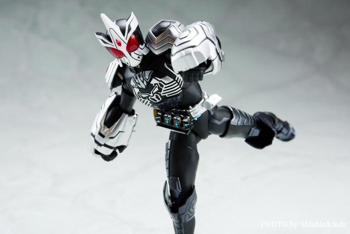 S.H.tBMA[cI^ʃC_[I[Y TS[] R{  