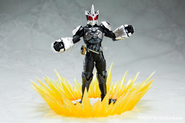 S.H.tBMA[cI^ʃC_[I[Y TS[] R{  