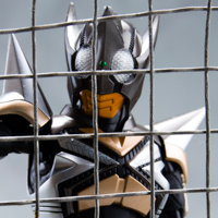S.H.Figuartsi^@j ʃC_[p`zbp[