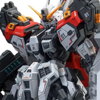 RP「アマゾン」