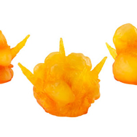 RP「あみあみオンライン本店」